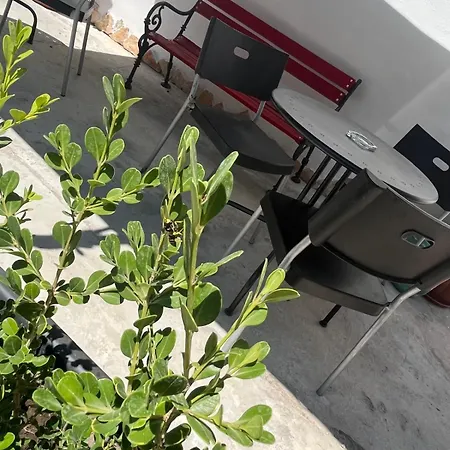 Domus Joannina Bed & Breakfast